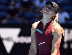 九游娱乐-莎拉波娃爆冷击败切尔西，关键助攻引爆全场！的简单介绍